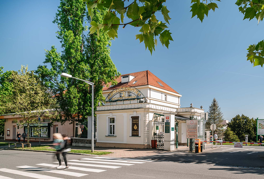 Zvětšit obrázek